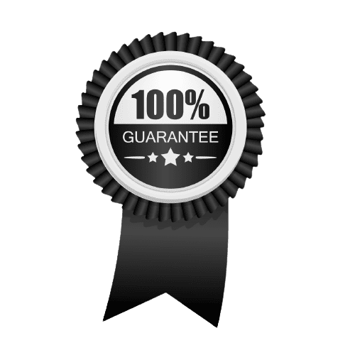 Speedy-site-gurentee-1